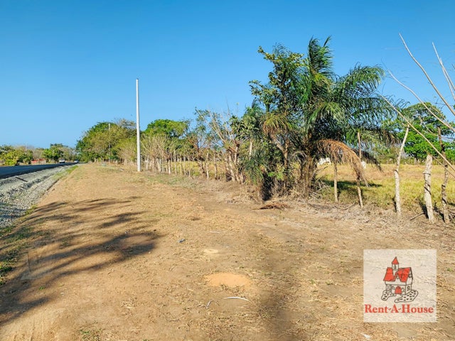 Land for Sale in Los Santos Los Santos 06065